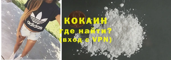 mix Богородицк
