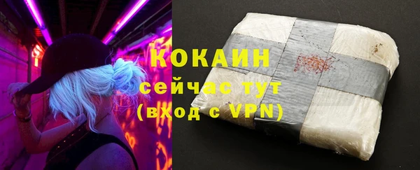 спиды Богданович