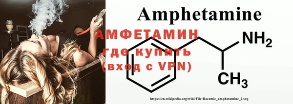 спиды Богданович