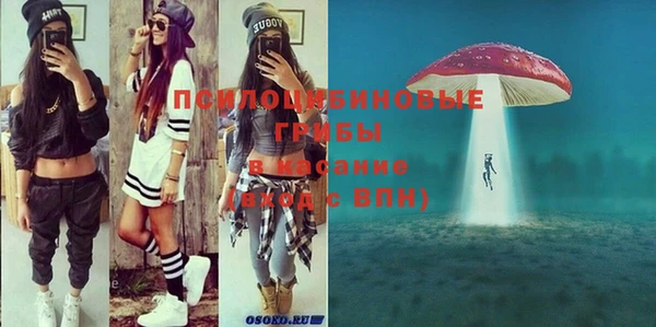 mix Богородицк