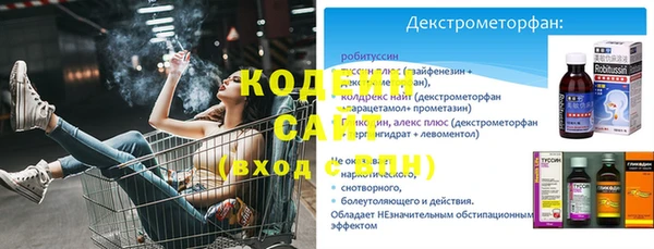 спиды Богданович