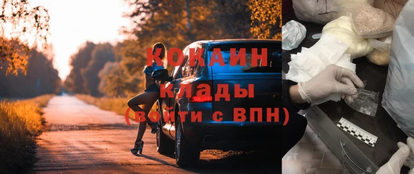 спиды Богданович