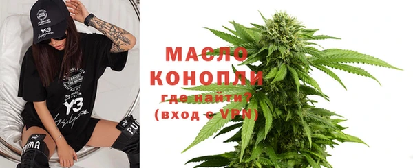 mix Богородицк