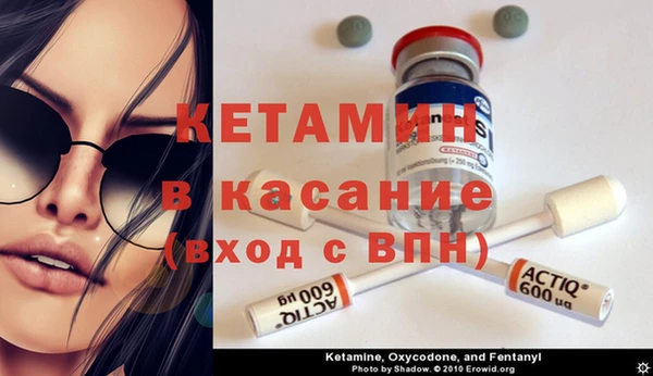 спиды Богданович