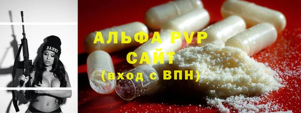 спиды Богданович